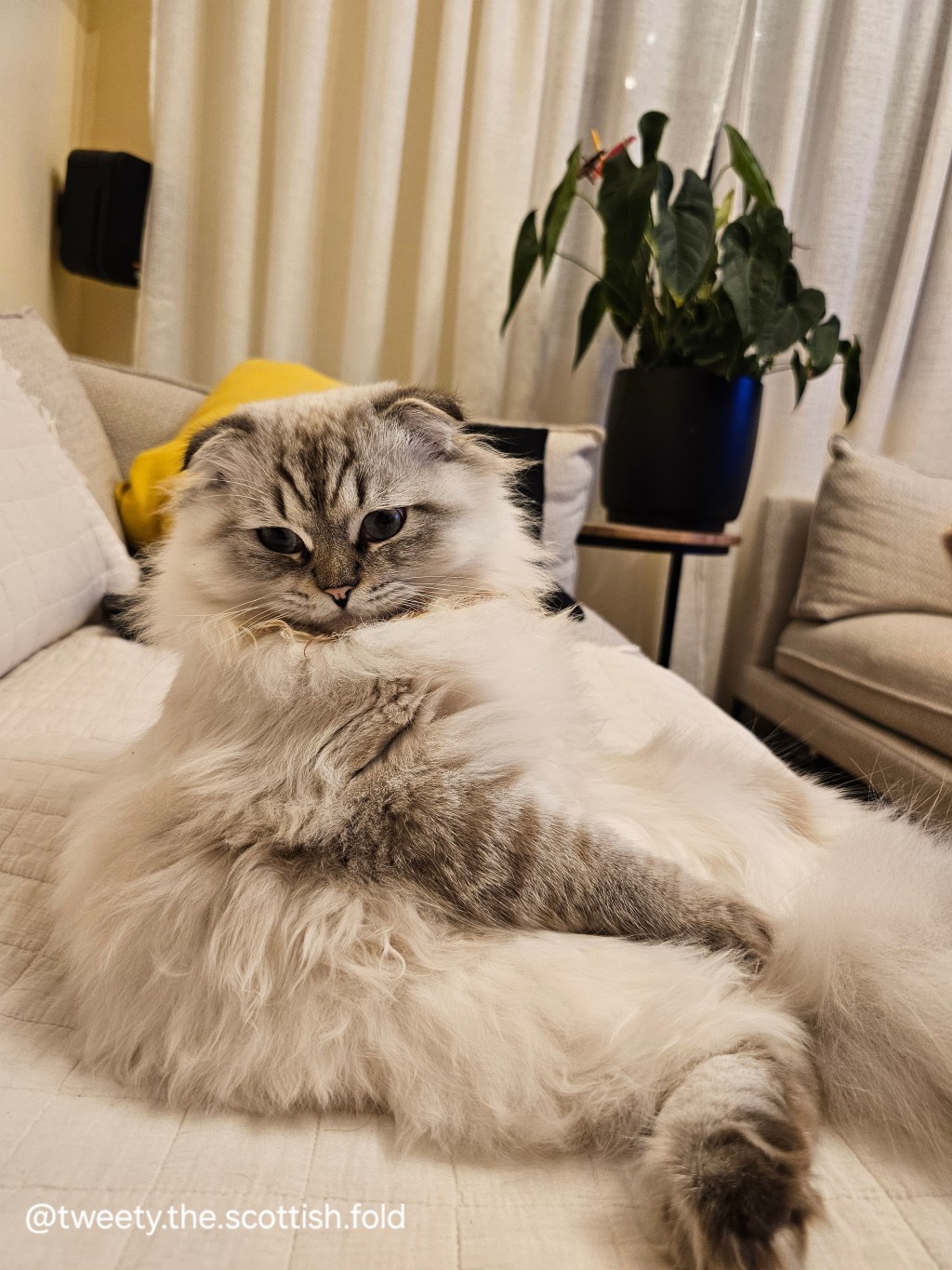 Personality and Temperament